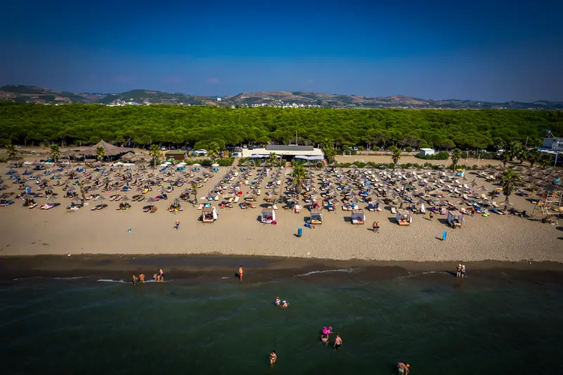 Aerial Drone View Spille Beach Albania Pine Forest