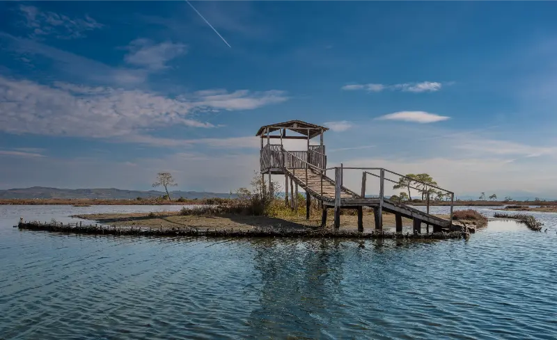 Divjake-Karavasta National Park Guide: Lagoon, Pelicans and Adriatic Nature