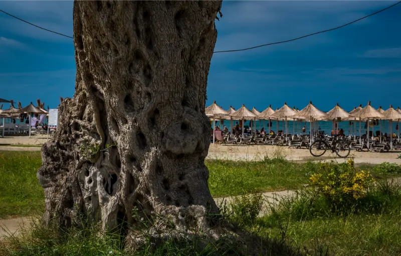 Campervan & Camping in Durrës: Ferry Port, Beach Bases, Parking and Road-Trip Tips